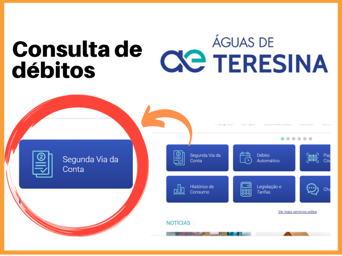 Consulta de débitos águas de teresina